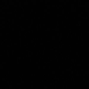 Meet your Posher, Sheena